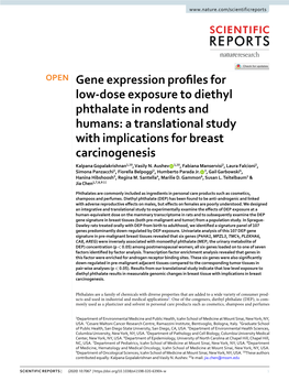 Gene Expression Profiles for Low-Dose Exposure to Diethyl