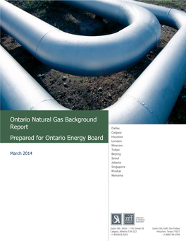 Ontario Natural Gas Background Report Prepared for Ontario Energy Board