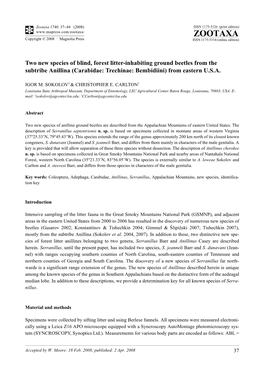 Zootaxa, Two New Species of Blind, Forest Litter