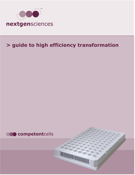 High Efficiency Transformation – Automation Friendly Competent Cells