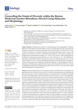 Hirudinea: Hirudo) Using Molecules and Morphology