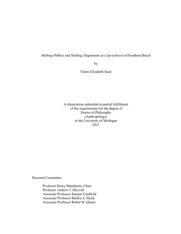 Shifting Publics and Shifting Alignments in a Sprachinsel of Southern Brazil