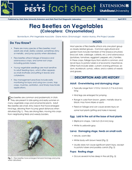 Flea Beetles on Vegetables (Coleoptera: Chrysomelidae)