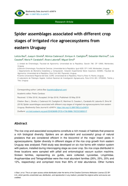 Spider Assemblages Associated with Different Crop Stages of Irrigated Rice Agroecosystems from Eastern Uruguay