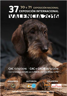 Valencia-Catalogo-2016