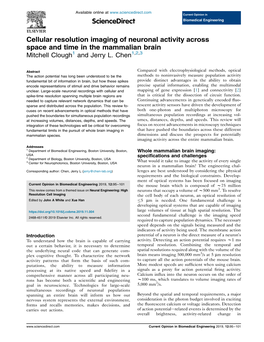 Cellular Resolution Imaging of Neuronal Activity Across Space and Time in the Mammalian Brain Mitchell Clough1 and Jerry L