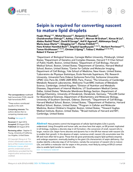 Seipin Is Required for Converting Nascent to Mature Lipid Droplets