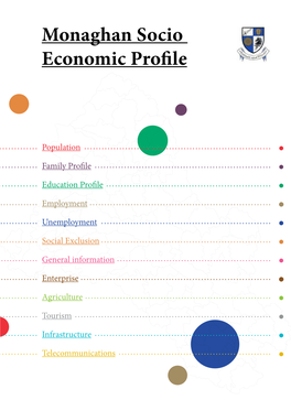 Monaghan Socio Economic Profile