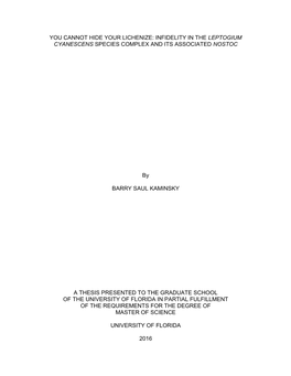 University of Florida Thesis Or Dissertation Formatting