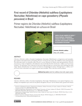 First Record of Chloridea (Heliothis) Subflexa (Lepidoptera: Noctuidae: Heliothinae) on Cape Gooseberry (Physalis Peruviana) In