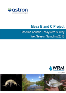 A8 Baseline Aquatic Ecosystem Survey Wet Season