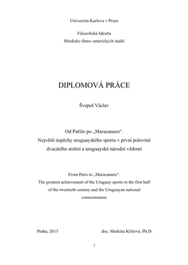 Diplomová Práce