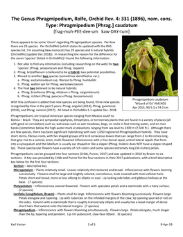 Phragmipedium [Phrag.] Caudatum [Frag-Muh-PEE-Dee-Um Kaw-DAY-Tum]