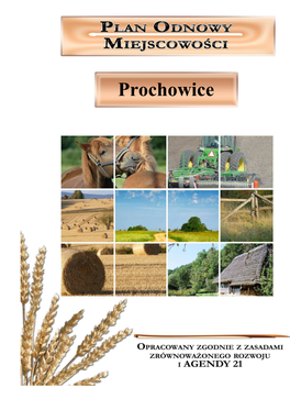 Plan Odnowy Miejscowoœci Prochowice II