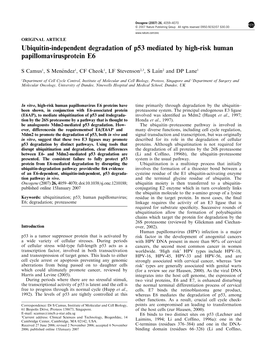 Ubiquitin-Independent Degradation of P53 Mediated by High-Risk Human Papillomavirusprotein E6