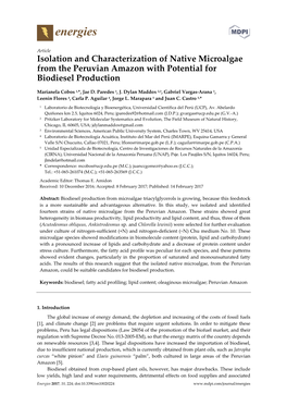 Isolation and Characterization of Native Microalgae from the Peruvian Amazon with Potential for Biodiesel Production