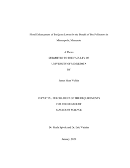 Floral Enhancement of Turfgrass Lawns for the Benefit of Bee Pollinators in Minneapolis, Minnesota a Thesis SUBMITTED to the FA