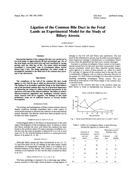 Ligation of the Common Bile Duct in the Fetal Lamb: an Experimental Model for the Study of Biliary Atresia