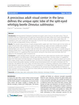 A Precocious Adult Visual Center in the Larva Defines the Unique Optic Lobe