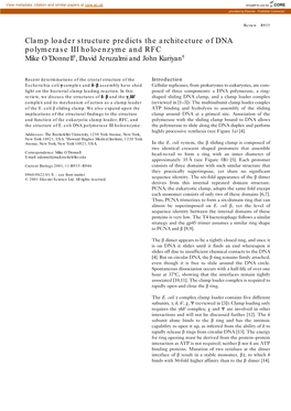 Clamp Loader Structure Predicts the Architecture of DNA Polymerase III Holoenzyme and RFC Mike O’Donnell†, David Jeruzalmi and John Kuriyan†