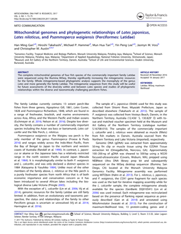 Mitochondrial Genomes and Phylogenetic Relationships of Lates Japonicus, Lates Niloticus, and Psammoperca Waigiensis (Perciformes: Latidae)