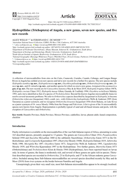 Hydroptilidae (Trichoptera) of Angola, a New Genus, Seven New Species, and Five New Records