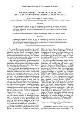 Six New Species of Mozena from Mexico (Heteroptera: Coreidae: Coreinae: Nematopodini)