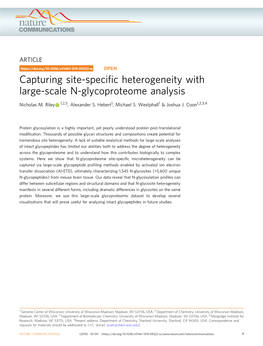 Capturing Site-Specific Heterogeneity with Large-Scale N-Glycoproteome