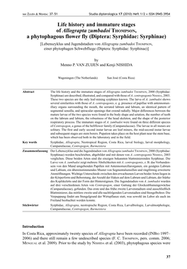 Life History and Immature Stages of Allograpta Zumbadoi THOMPSON, a Phytophagous Flower Fly (Diptera: Syrphidae: Syrphinae)