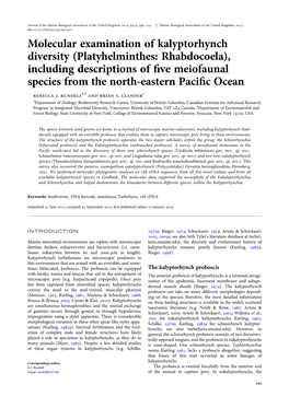 Platyhelminthes: Rhabdocoela), Including Descriptions of ﬁve Meiofaunal Species from the North-Eastern Paciﬁc Ocean Rebecca J