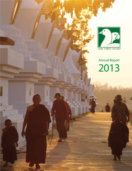 Annual Report 2013