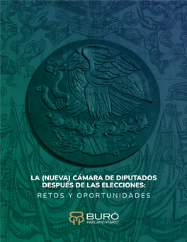 (Nueva) Cámara De Diputados Después De Las Elecciones: Retos Y Oportunidades