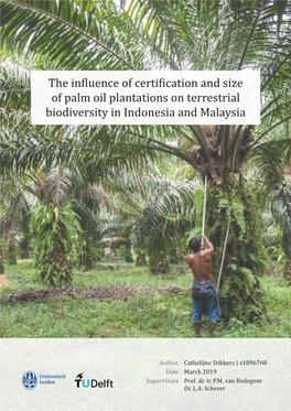 The Influence of Certification and Size of Palm Oil Plantations on Terrestrial Biodiversity in Indonesia and Malaysia