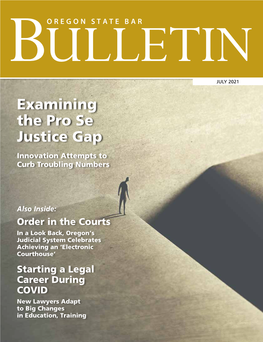 Examining the Pro Se Justice Gap Innovation Attempts to Curb Troubling Numbers