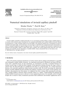 Numerical Simulations of Inviscid Capillary Pinchoff