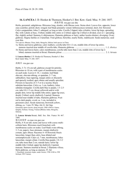 16. LANCEA J. D. Hooker & Thomson, Hooker's J. Bot. Kew. Gard. Misc. 9: 244. 1857