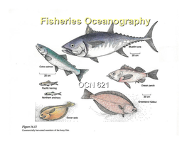 Fisheries Oceanographyoceanography