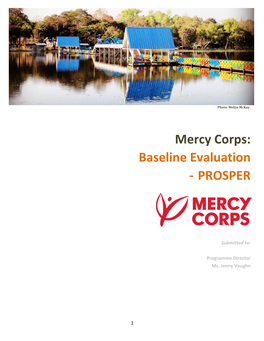 Mercy Corps: Baseline Evaluation - PROSPER