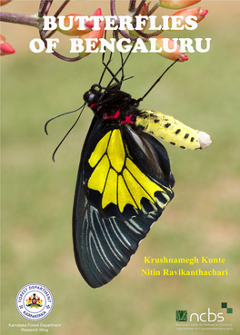 Butterflies of Bengaluru