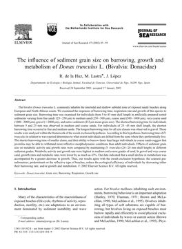 The Influence of Sediment Grain Size on Burrowing, Growth and Metabolism of Donax Trunculus L