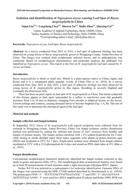 Isolation and Identification of Nigrospora Oryzae Causing Leaf Spot of Buxus Megistophylla in China