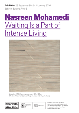 Brochure of Nasreen Mohamedi