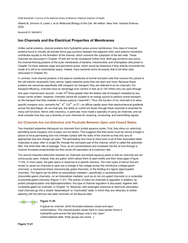 Ion Channels and the Electrical Properties of Membranes