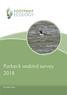 Purbeck-Seabirds-Survey-2018.Pdf