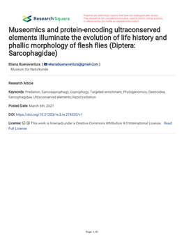 Museomics and Protein-Encoding Ultraconserved Elements Illuminate the Evolution of Life History and Phallic Morphology of Fesh Fies (Diptera: Sarcophagidae)