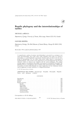 Reptile Phylogeny and the Interrelationships of Turtles