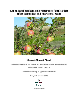 Genetic and Biochemical Properties of Apples That Affect Storability and Nutritional Value