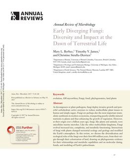 Early Diverging Fungi: Diversity and Impact at the Dawn of Terrestrial Life