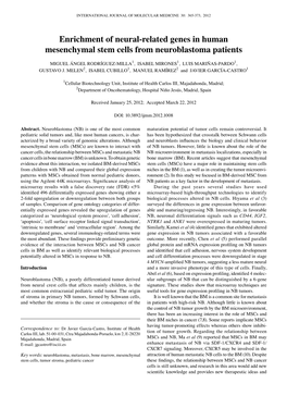 Enrichment of Neural-Related Genes in Human Mesenchymal Stem Cells from Neuroblastoma Patients