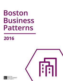 Boston Business Patterns 2016